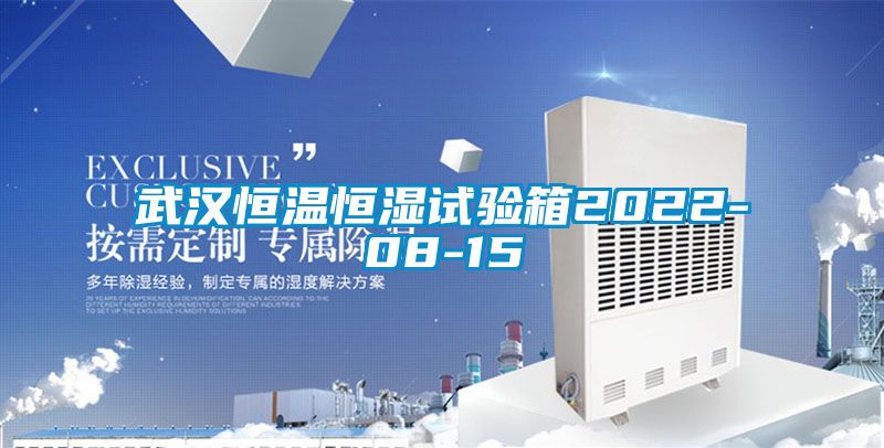 武漢恒溫恒濕試驗箱2022-08-15