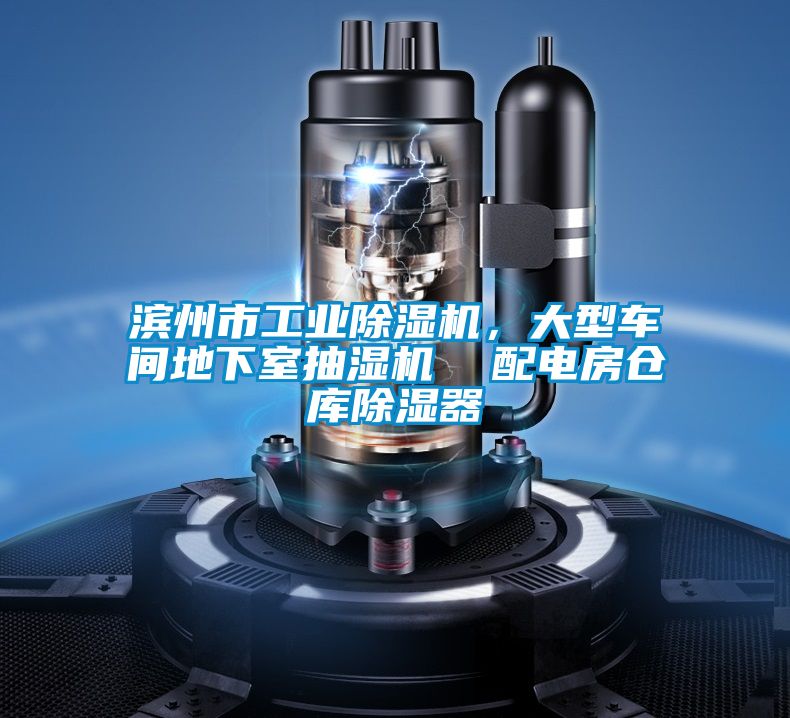 濱州市工業(yè)除濕機，大型車間地下室抽濕機  配電房倉庫除濕器
