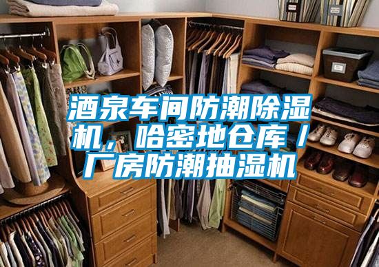 酒泉車間防潮除濕機,哈密地倉庫/廠房防潮抽濕機