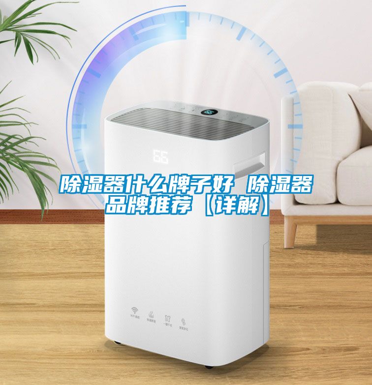 除濕器什么牌子好 除濕器品牌推薦【詳解】
