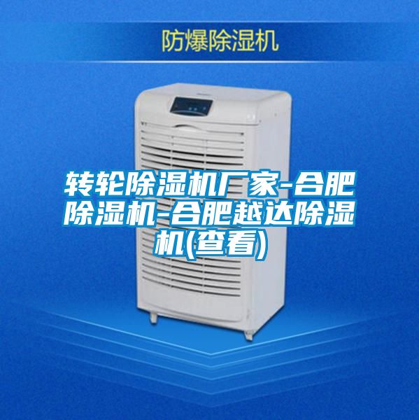 轉輪除濕機廠家-合肥除濕機-合肥越達除濕機(查看)