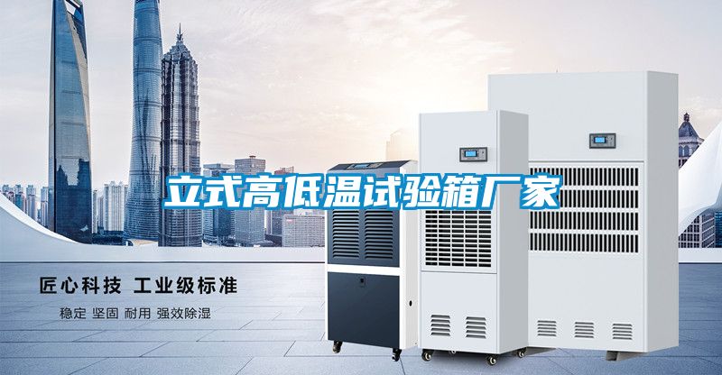 立式高低溫試驗(yàn)箱廠家