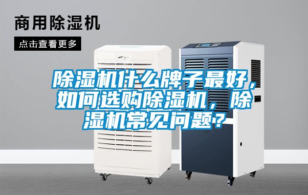 除濕機什么牌子最好，如何選購除濕機，除濕機常見問題？