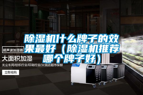 除濕機什么牌子的效果最好（除濕機推薦哪個牌子好）