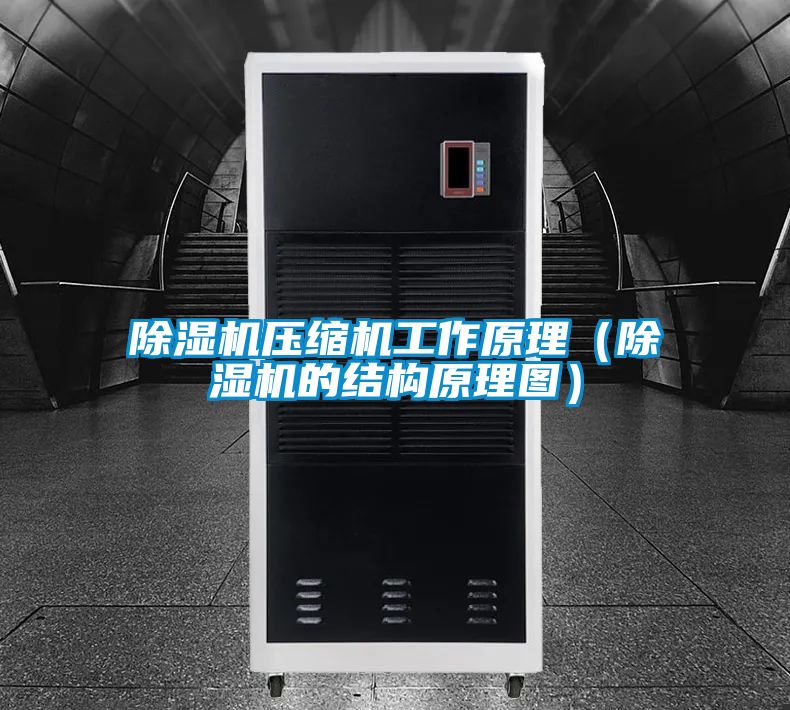 除濕機壓縮機工作原理（除濕機的結構原理圖）