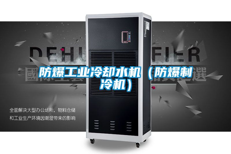 防爆工業冷卻水機（防爆制冷機）