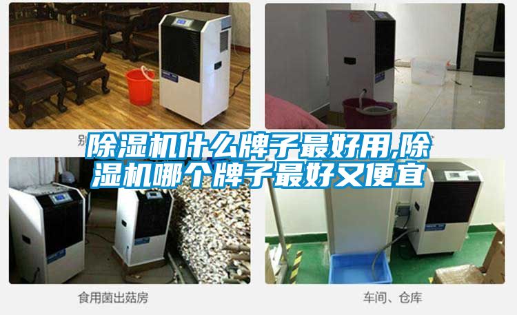 除濕機什么牌子最好用,除濕機哪個牌子最好又便宜