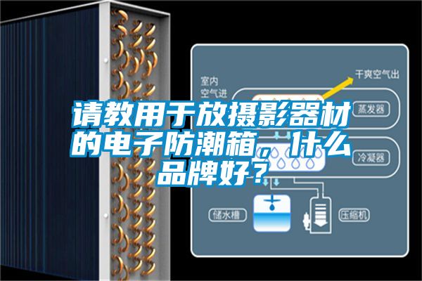 請教用于放攝影器材的電子防潮箱，什么品牌好？