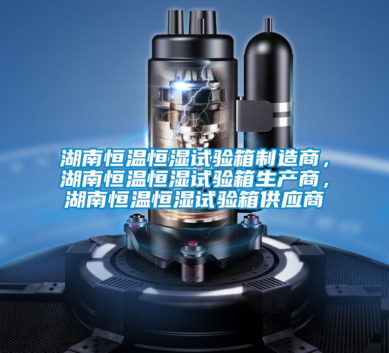 湖南恒溫恒濕試驗箱制造商,湖南恒溫恒濕試驗箱生產商,湖南恒溫恒濕試驗箱供應商