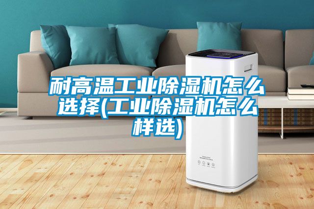 耐高溫工業除濕機怎么選擇(工業除濕機怎么樣選)