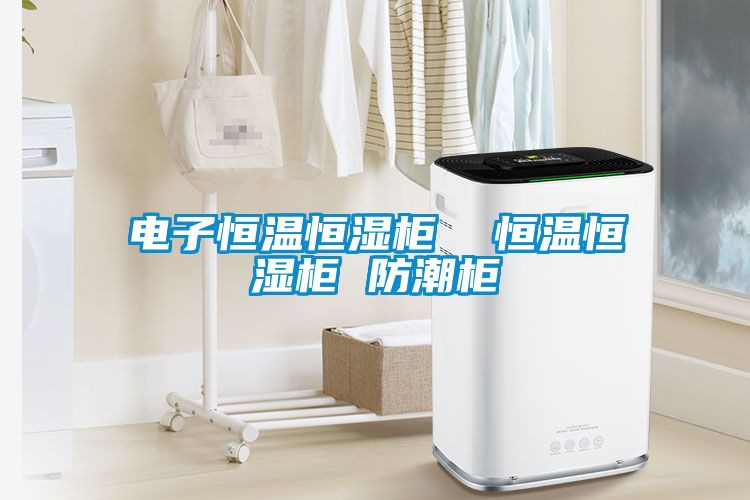 電子恒溫恒濕柜  恒溫恒濕柜 防潮柜