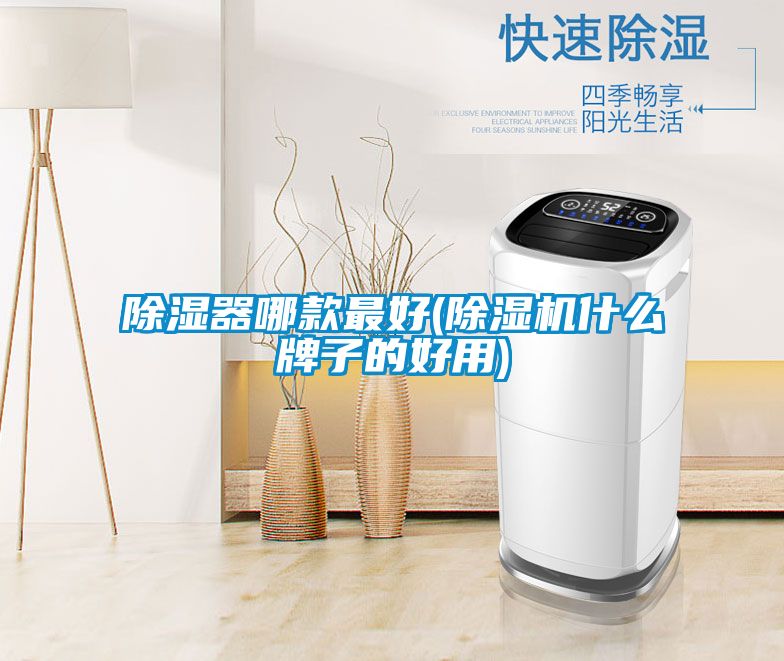 除濕器哪款最好(除濕機什么牌子的好用)