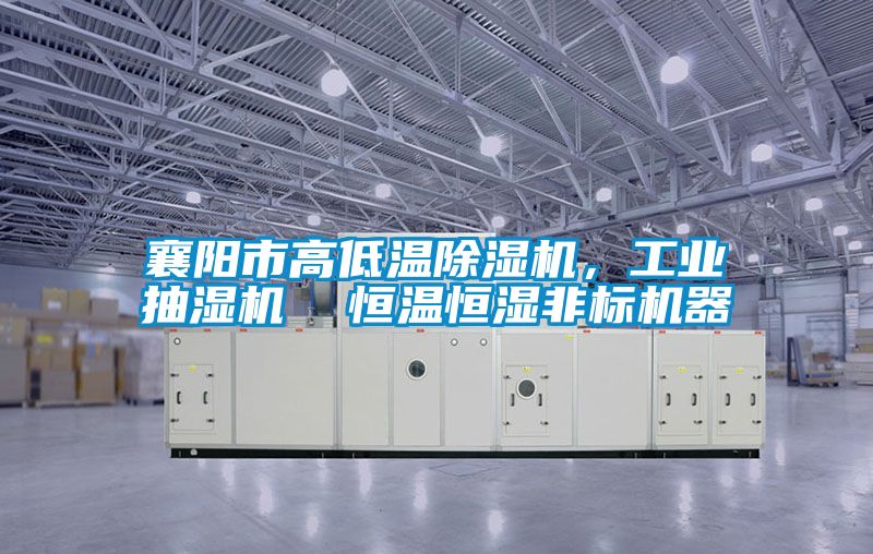 襄陽市高低溫除濕機，工業抽濕機  恒溫恒濕非標機器