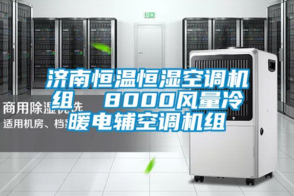 濟(jì)南恒溫恒濕空調(diào)機(jī)組  8000風(fēng)量冷暖電輔空調(diào)機(jī)組