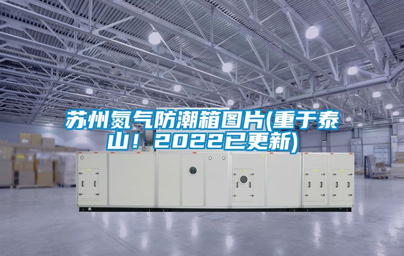 蘇州氮氣防潮箱圖片(重于泰山！2022已更新)