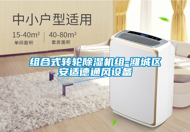 組合式轉輪除濕機組-濰城區安適德通風設備