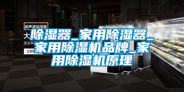 除濕器_家用除濕器_家用除濕機品牌_家用除濕機原理