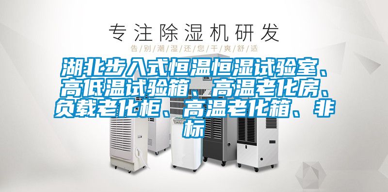 湖北步入式恒溫恒濕試驗室、高低溫試驗箱、高溫老化房、負載老化柜、高溫老化箱、非標