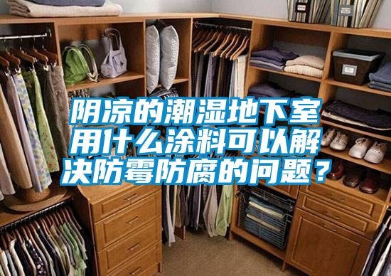 陰涼的潮濕地下室用什么涂料可以解決防霉防腐的問題？