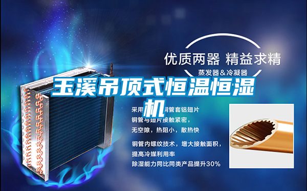 玉溪吊頂式恒溫恒濕機