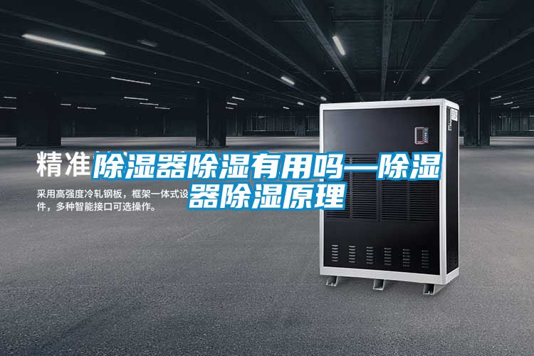 除濕器除濕有用嗎—除濕器除濕原理