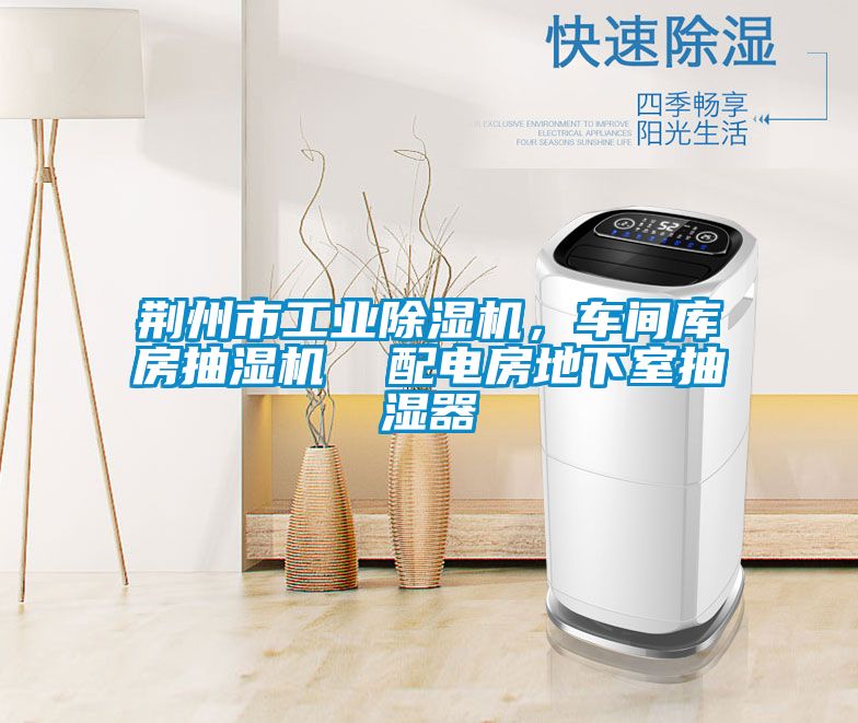 荊州市工業除濕機，車間庫房抽濕機  配電房地下室抽濕器