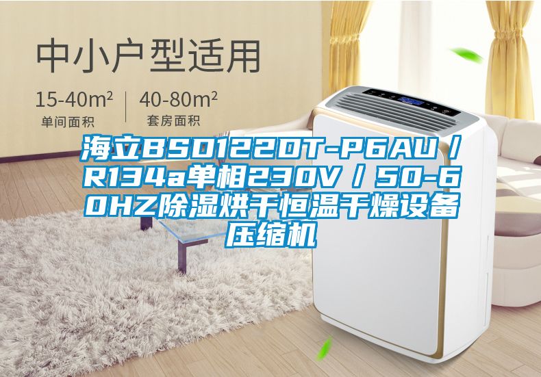 海立BSD122DT-P6AU／R134a單相230V／50-60HZ除濕烘干恒溫干燥設備壓縮機