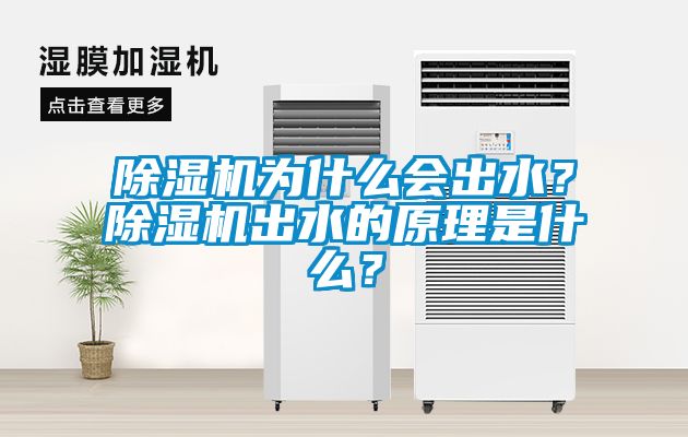 除濕機為什么會出水？除濕機出水的原理是什么？