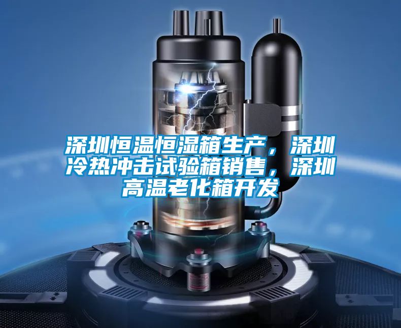 深圳恒溫恒濕箱生產,深圳冷熱沖擊試驗箱銷售,深圳高溫老化箱開發