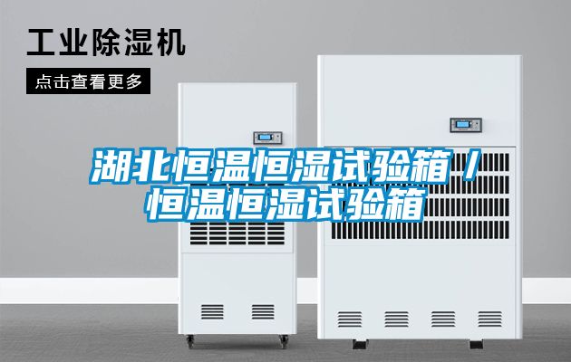 湖北恒溫恒濕試驗(yàn)箱／恒溫恒濕試驗(yàn)箱