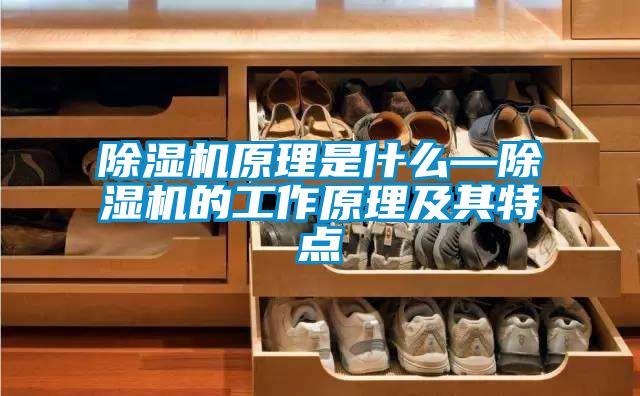 除濕機原理是什么—除濕機的工作原理及其特點
