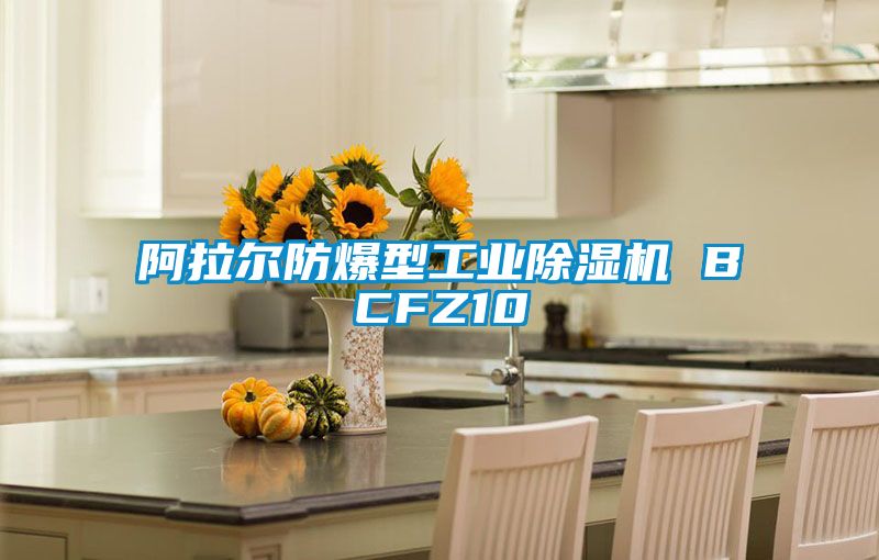 阿拉爾防爆型工業除濕機 BCFZ10