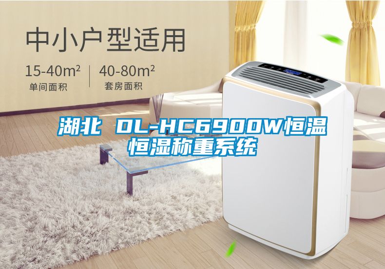 湖北 DL-HC6900W恒溫恒濕稱重系統(tǒng)