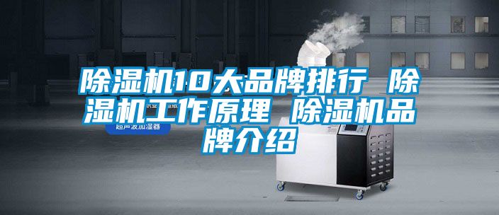 除濕機10大品牌排行 除濕機工作原理 除濕機品牌介紹