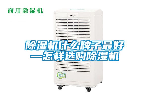除濕機什么牌子最好—怎樣選購除濕機