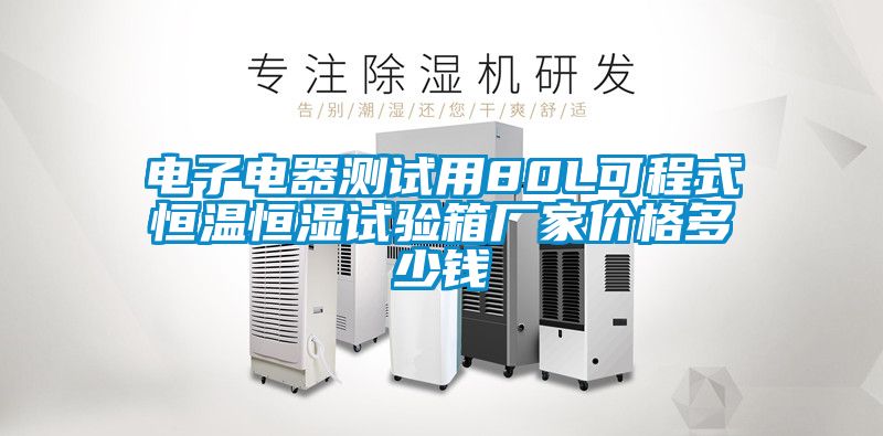 電子電器測試用80L可程式恒溫恒濕試驗箱廠家價格多少錢