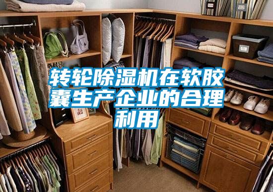 轉(zhuǎn)輪除濕機(jī)在軟膠囊生產(chǎn)企業(yè)的合理利用