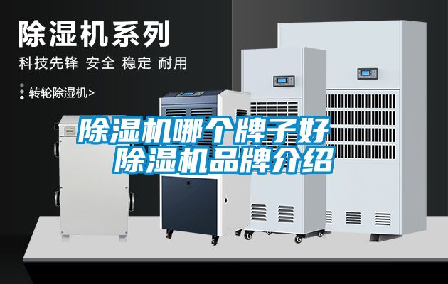 除濕機哪個牌子好  除濕機品牌介紹