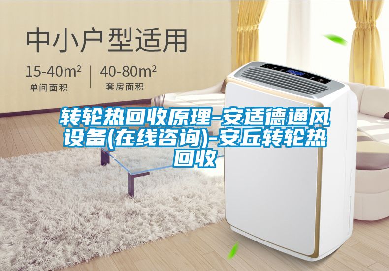 轉(zhuǎn)輪熱回收原理-安適德通風設(shè)備(在線咨詢)-安丘轉(zhuǎn)輪熱回收