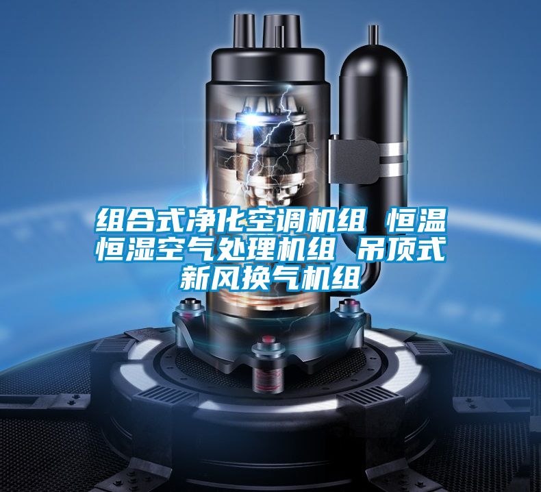 組合式凈化空調(diào)機(jī)組 恒溫恒濕空氣處理機(jī)組 吊頂式新風(fēng)換氣機(jī)組