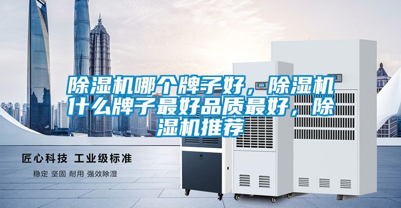 除濕機哪個牌子好，除濕機什么牌子最好品質最好，除濕機推薦