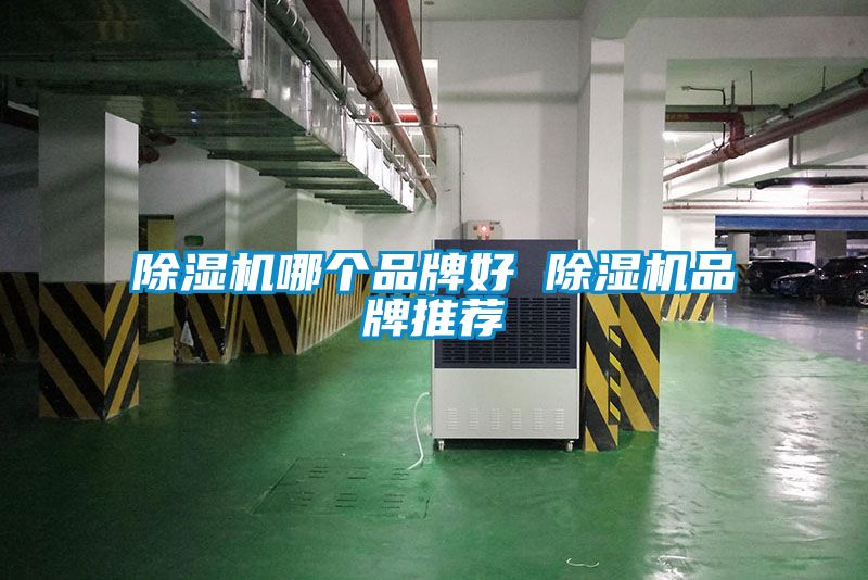 除濕機(jī)哪個(gè)品牌好 除濕機(jī)品牌推薦