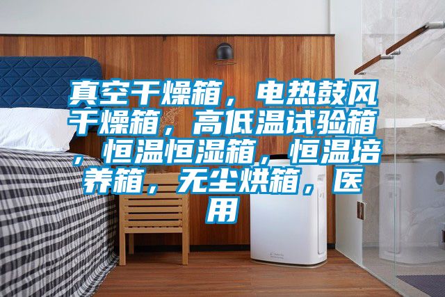真空干燥箱，電熱鼓風干燥箱，高低溫試驗箱，恒溫恒濕箱，恒溫培養箱，無塵烘箱，醫用