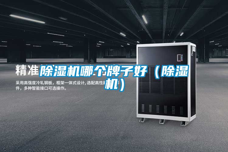除濕機哪個牌子好（除濕機）