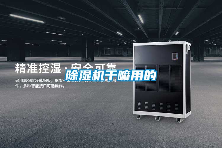 除濕機干嘛用的