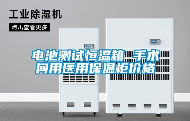 電池測試恒溫箱 手術間用醫用保溫柜價格