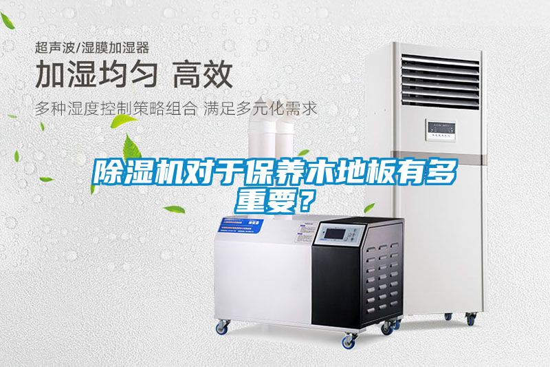 除濕機對于保養木地板有多重要？