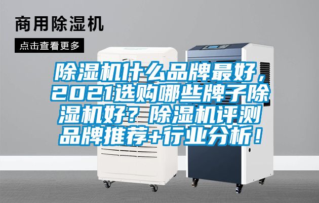 除濕機什么品牌最好，2021選購哪些牌子除濕機好？除濕機評測品牌推薦+行業分析！