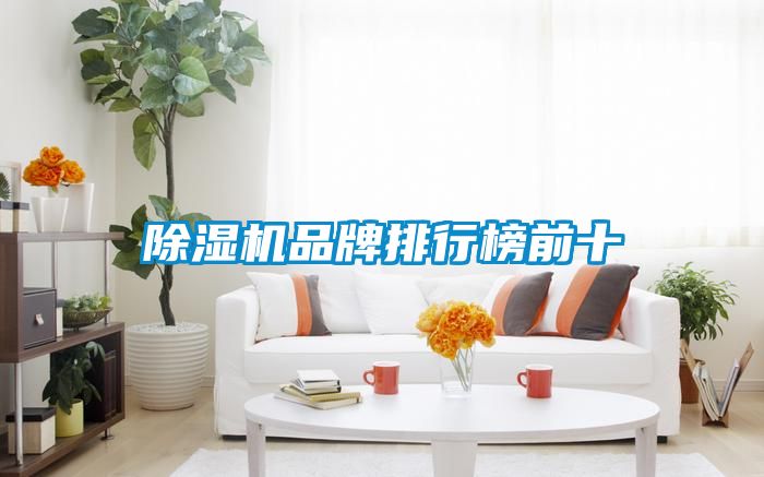 除濕機品牌排行榜前十