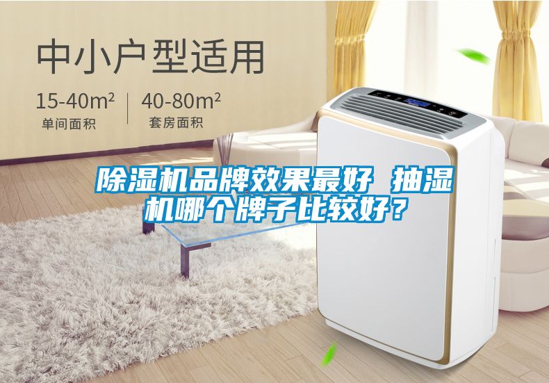 除濕機品牌效果最好 抽濕機哪個牌子比較好？